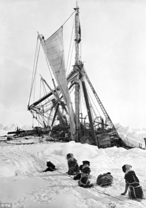 Shackleton 8
