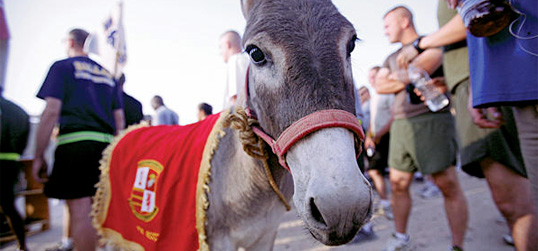 March 18, 2011 No Ordinary Donkey
