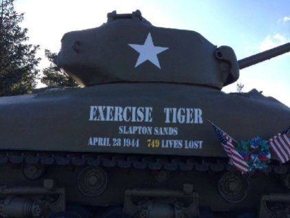 exercise-tiger-new-bedford