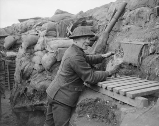 Gunner with the regimental cat in a trench in Cambrin, France, February 6th, 1918.