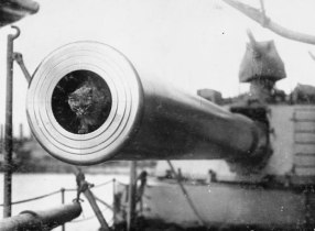Togo, ships cat aboard the HMS Dreadnought