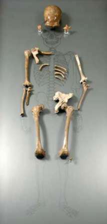 neanderthalskeletonsm
