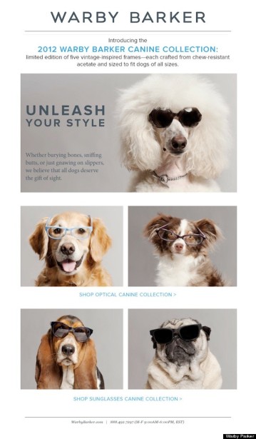 Warby-Barker-Canine-Sunglasses-April-Fools